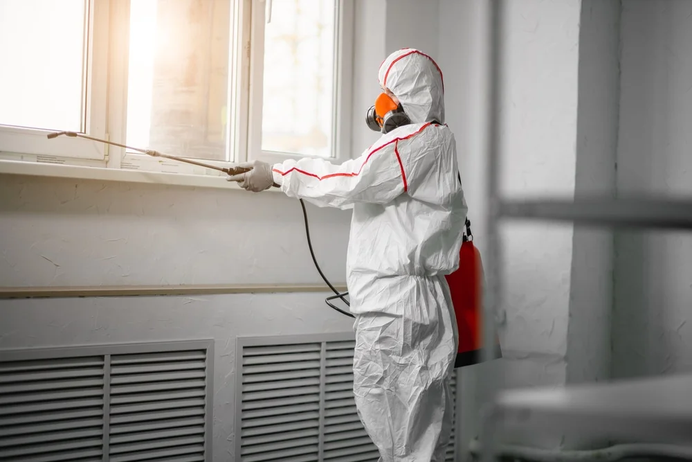 Professional mold remediation services in Newport, NJ